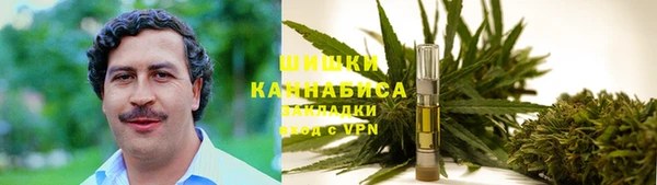 прущий лед Арсеньев