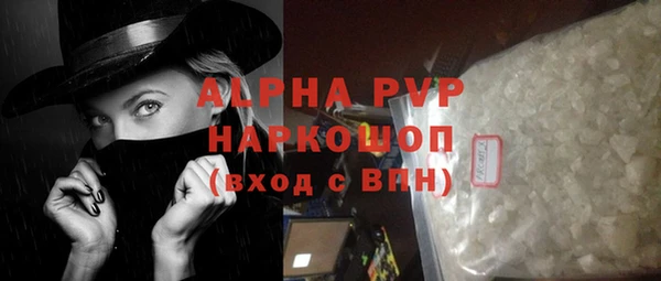 стаф Осинники