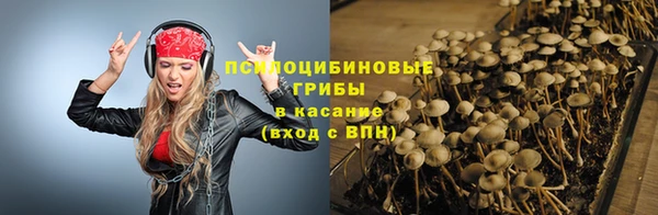 spice Армянск