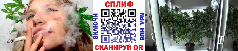 Шишки марихуана ГИДРОПОН хочу Прохладный